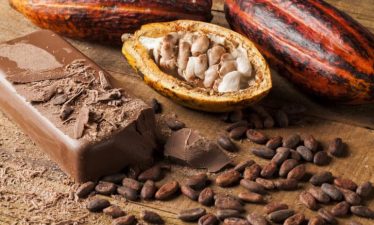 Impact of Climate Change on Cocoa Production