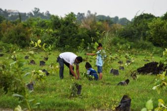 Carbon Rights of Indigenous Peoples and Local Communities