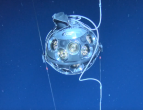 KM3NeT Discovers High-Energy Neutrino