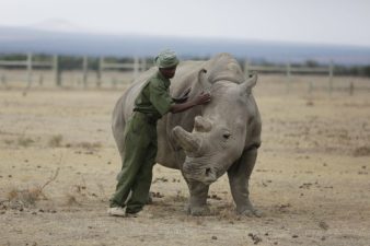 Kenya’s Biodiversity Under Threat