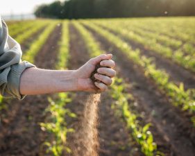 Market Intervention Scheme Enhancements for Farmers