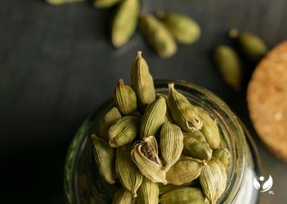 New Species of Cardamom in Kerala