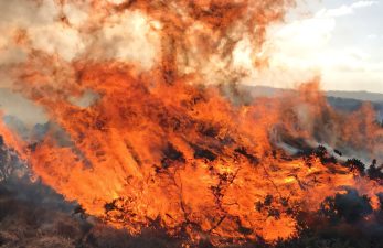 Peatland Fires and Carbon Emissions in the UK