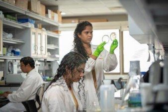 Progress in Tackling Antimicrobial Resistance in Africa