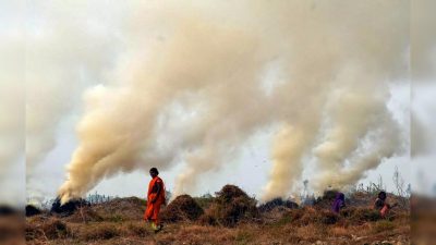 Stubble Burning’s Impact on Delhi-NCR Air Quality
