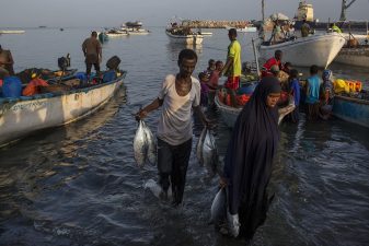 Sustainable Fisheries and Aquaculture in Africa