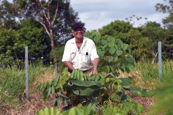 Sustainable Land Management and Peacebuilding Initiatives