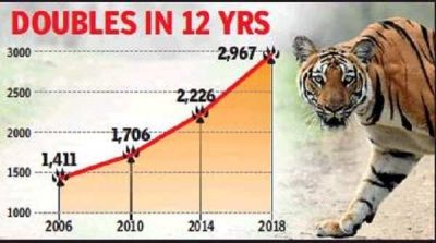 Tiger Population Growth in India
