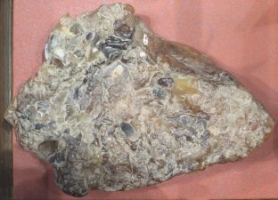 What is Ambergris?