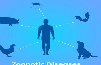 Zoonotic Disease Surveillance in Bird Sanctuaries