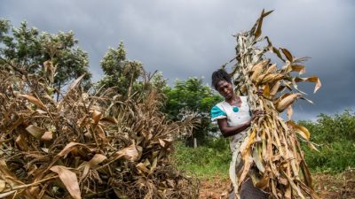 Climate Change Impacts on Agriculture and Health