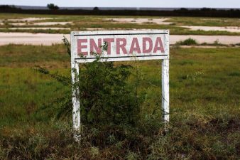 English Designated As Official Language In The USA