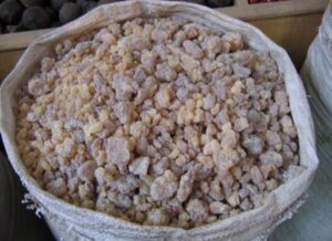 Frankincense Faces Extinction Threat