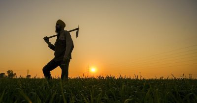 India Achieves Milestone With 10,000 Farmer Producer Organisations