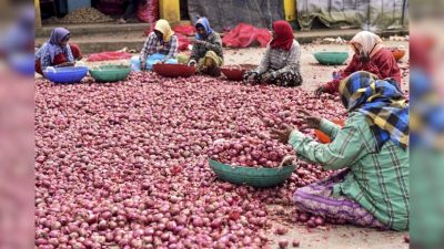 India Withdraws Onion Export Duty