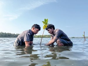 Invasive Species Threaten Haryana’s Forest Ecosystems