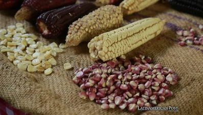 Mexico’s Constitutional Reform on Corn Preservation