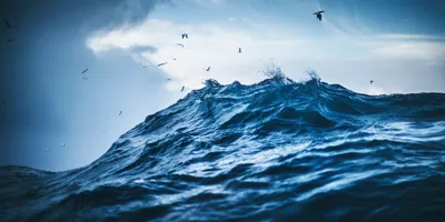 Microlightning and the Origin of Life