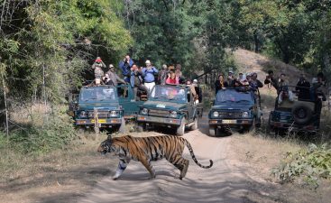 National Board for Wildlife