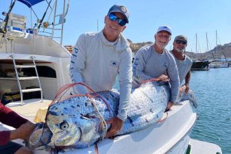 Oarfish Sighted in Baja California Sur