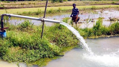 Renaming the Agriculture Ministry