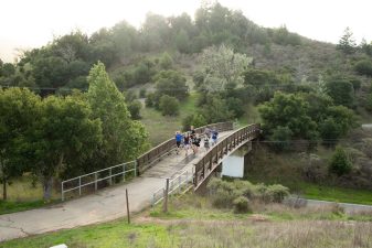 Reviving Forest-Based Food Systems for Resilience
