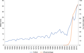 The Rise and Fall of India’s Cotton Industry