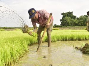 US Agricultural Exports and India’s Market Potential