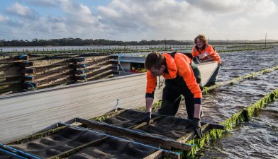 Advancements in Aquaculture Technology in India