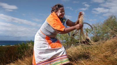 Advancements in Indigenous Clean Air Technologies