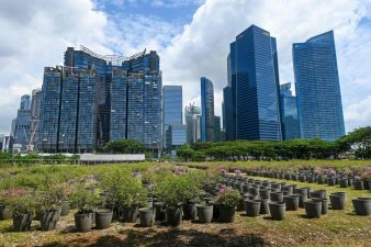 China’s Economic Growth Amidst US Trade Tariffs