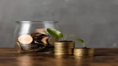 Decline of Non-Performing Assets in Kisan Credit Cards