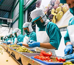 Food Processing Sector’s Role in Reducing Waste
