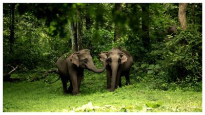 GCC Wildlife Reserves