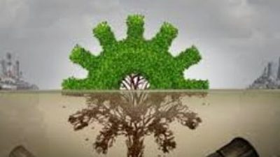 Goa Issues Stop-Work Notice for Environmental Violation