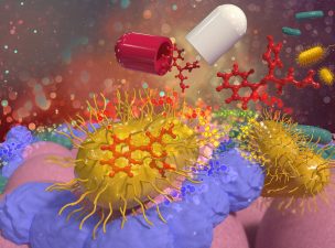 Gut Bacteria and Drug Efficacy