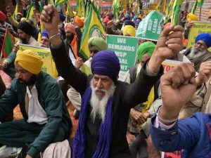 Hybrid Paddy Seeds Ban Sparks Controversy in Punjab
