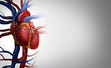 Long-Term Cardiovascular Risks of COVID-19 in Youth