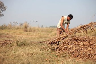 Madhya Pradesh Biofuel Scheme for Compressed Biogas