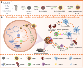 Metallo-Nanozymes for Energy Regulation