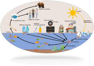 Nitrogen’s Role in Life and Environmental Challenges