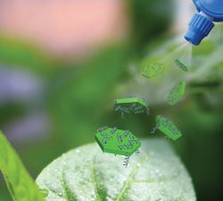 RNA Technology Revolutionises Plant Virus Defence