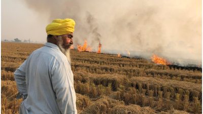Stubble Burning and Air Pollution in India