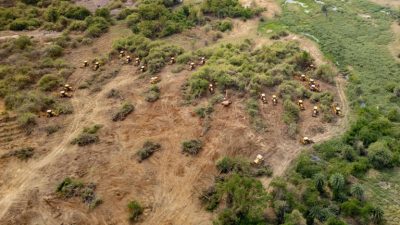 Supreme Court Reviews Telangana Tree Cutting Controversy