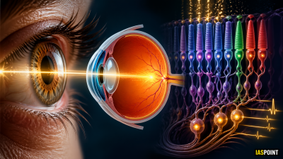 Vision and Image Formation