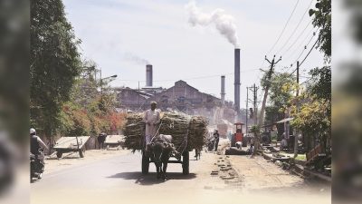 Amendments to Sugar Control Order