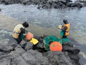 Genetic Adaptations of Haenyeo Divers in Jeju
