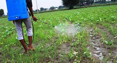 India Opposes Chlorpyrifos Inclusion in Stockholm Convention