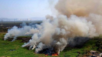 Kanjurmarg Landfill Declared Protected Forest