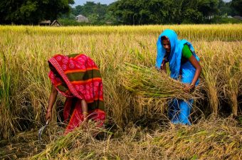 Rising Malnutrition Among Women in South Asia